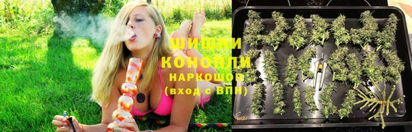 метамфетамин Богданович