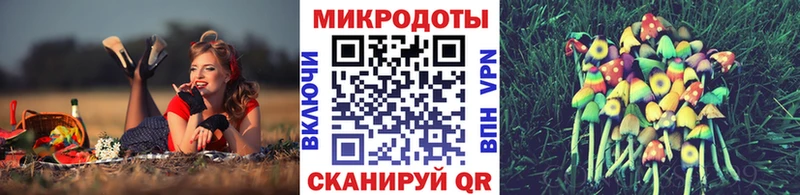 kraken сайт  Кингисепп  Галлюциногенные грибы мицелий 